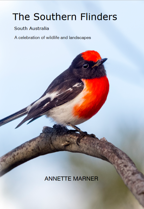 My latest book – The Southern Flinders A Celebration of Wildlife and Landscapes